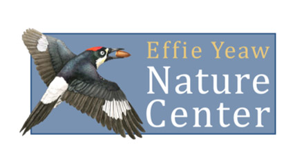 effie-yeaw-nature