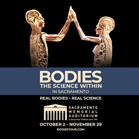 Bodies_2026_480x480