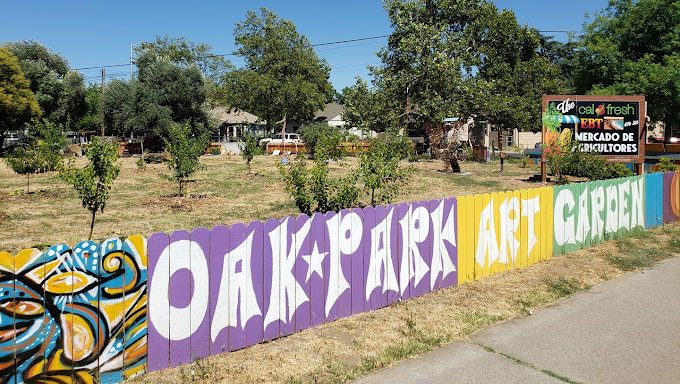 SAFE's sustainability grant will support gardening and classes at the Oak Park Art Garden.