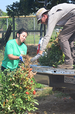 Soil Born Farms volunteers photo