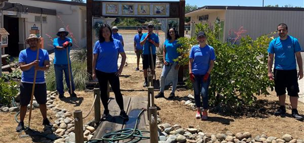 SAFE Credit Union employees volunteer at a community event.